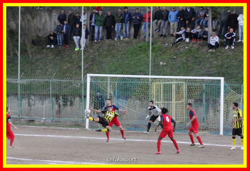 181111 Cepha_Milazzo 216_tn.JPG